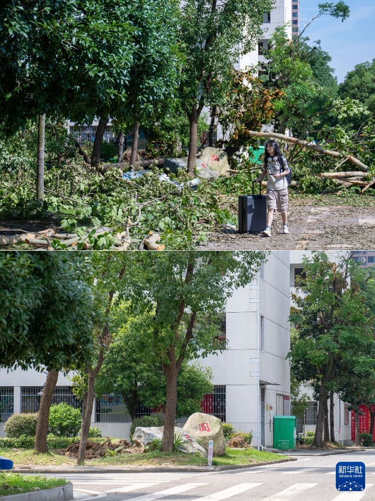湖北黄冈:龙卷风灾后清理修复持续推进 湖北黄冈:龙卷风灾后清理修复持续推进