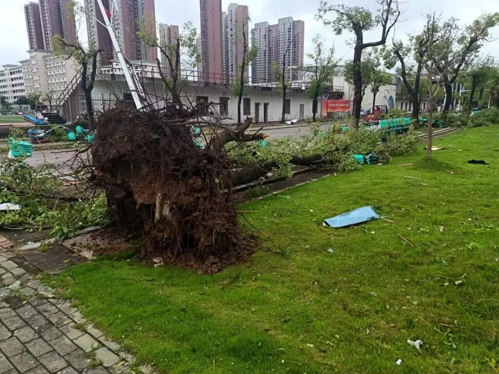 龙卷风穿过黄冈师范学院:最大风速超过15级,有学生抵住宿舍门合力抗风 龙卷风穿过黄冈师范学院:最大风速超过15级,有学生抵住宿舍门合力抗风