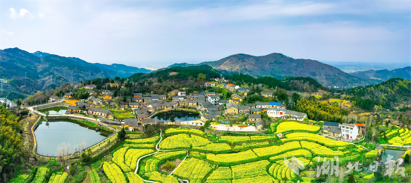 麻城龟山镇东垸村：校地共建 文旅融合_fororder_23