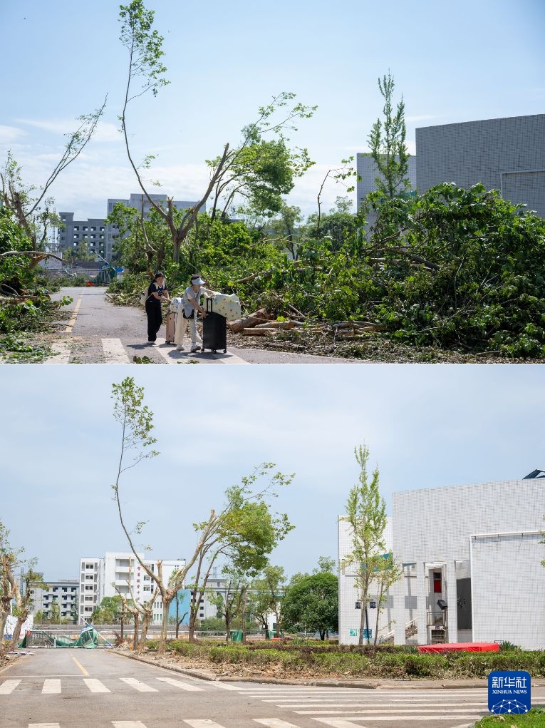 湖北黄冈：龙卷风灾后清理修复持续推进