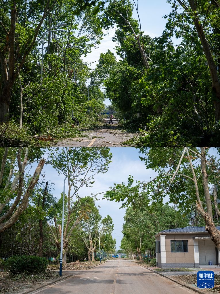 湖北黄冈：龙卷风灾后清理修复持续推进