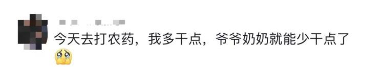 凌晨坐绿皮火车回家，帮父亲砍1800斤柴！大学生回应……