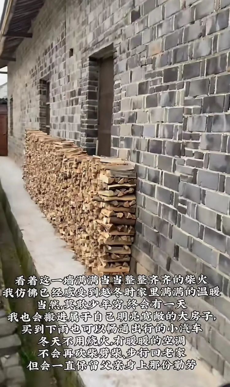 凌晨坐绿皮火车回家，帮父亲砍1800斤柴！大学生回应……