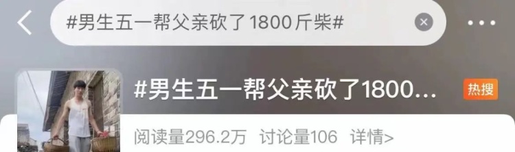 凌晨坐绿皮火车回家，帮父亲砍1800斤柴！大学生回应……