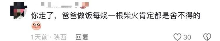 凌晨坐绿皮火车回家，帮父亲砍1800斤柴！大学生回应……