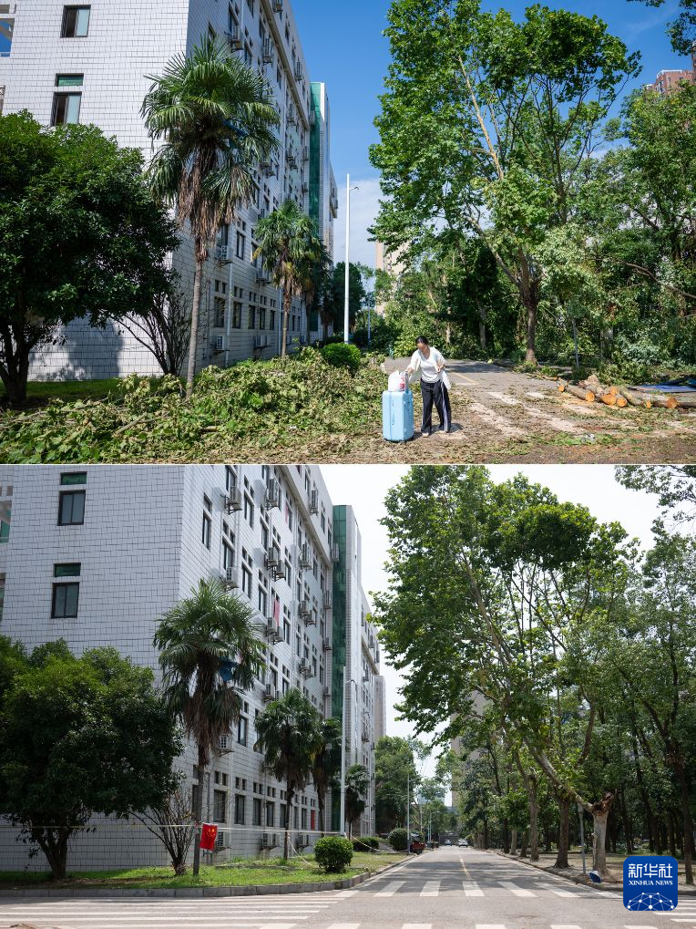 拼版照片:上图为7月8日,黄冈师范学院学生疏散离校;下图为7月13日拍摄的黄冈师范学院一角。