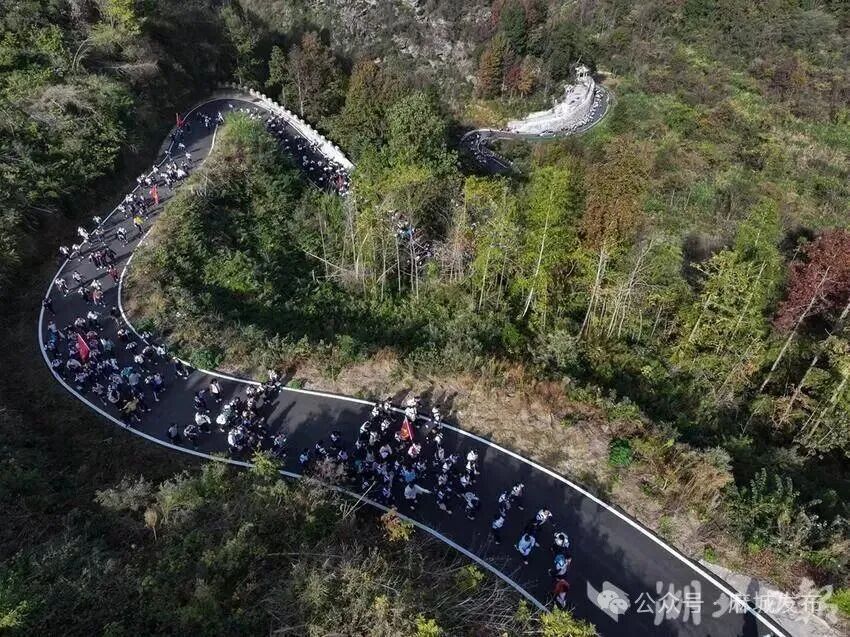 高校赋能,乡村蝶变:黄冈师范学院助力东垸(1).doc