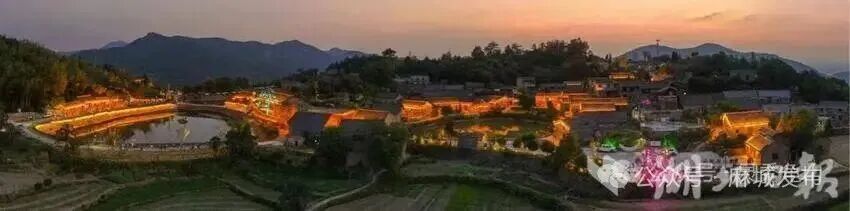 高校赋能，乡村蝶变：黄冈师范学院助力东垸(1).doc