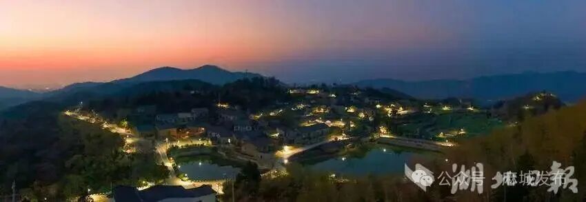 高校赋能，乡村蝶变：黄冈师范学院助力东垸(1).doc